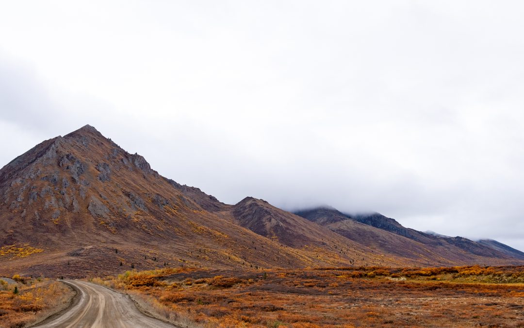 Itinéraire de 7 jours au Yukon : nature infinie, culture et histoire